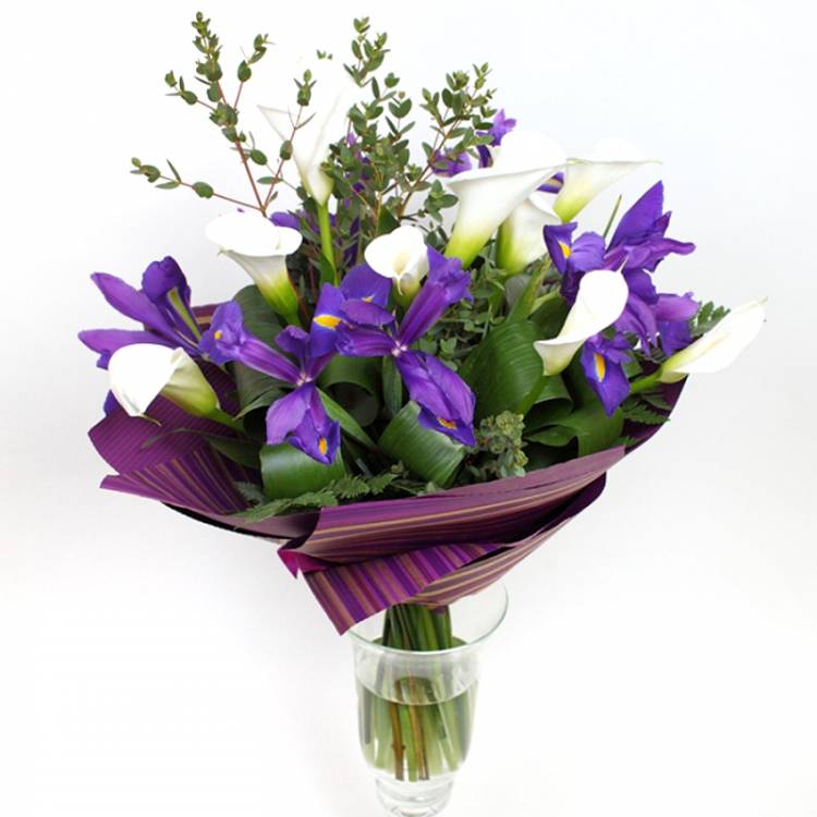 Летний вечер Летний вечер